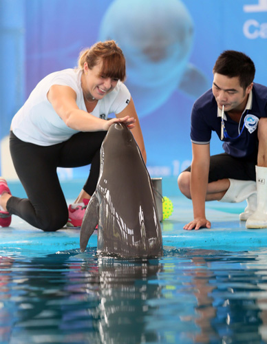 合也再次验 合也再次验