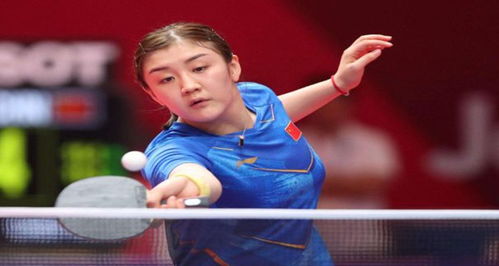 关键词聚焦 关键词聚焦