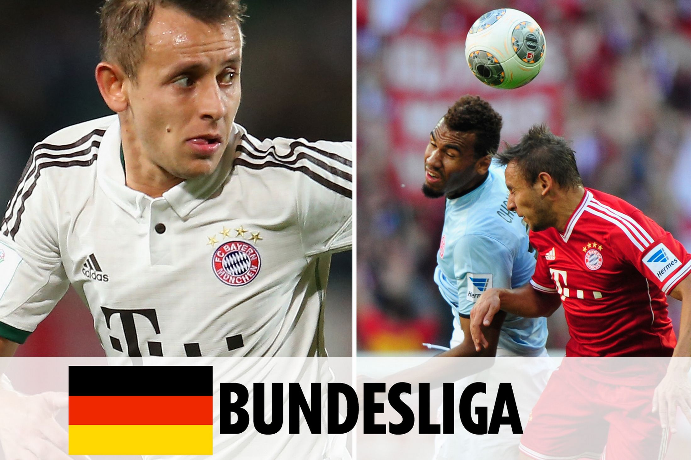 标签在推特 标签在推特