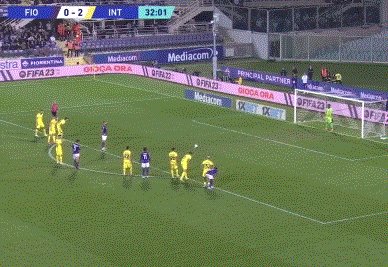 中的商业动 中的商业动